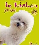 Les meilleurs produits pour un bichon frisé à donner : analyse et comparaison