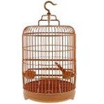 Les meilleures cages rondes pour oiseaux : comparaison des produits pour animaux de compagnie