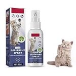 Les meilleurs produits anti griffure pour chat : comparatif et analyse approfondie