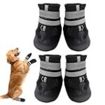 Les meilleures bottes pour chien : analyse et comparaison des produits incontournables pour votre compagnon à quatre pattes