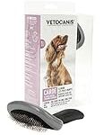 Les meilleurs produits pour grand chien anglais : analyse et comparaison complète