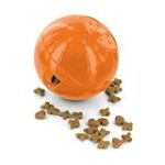 Comparaison des meilleures croquettes Chronovet pour animaux de compagnie : quelles sont les plus adaptées à votre compagnon ?