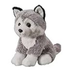 Les meilleurs produits pour animaux de compagnie : guide d'achat pour les huskies tout blancs