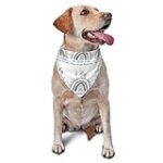 Les meilleurs produits pour animaux de compagnie face aux défis de la tumeur cérébrale chez le chien