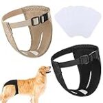 Protection contre la chaleur et les saignements pour votre chienne : Analyse des meilleurs produits pour animaux de compagnie