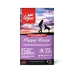 Analyse et comparaison : Orijen Puppy Large, le meilleur choix pour les chiots en pleine croissance