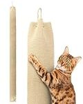 Titre : Escalade chat : les meilleurs produits pour des séances d'escalade en toute sécurité