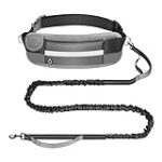 Guide pratique : Enseigner la marche en laisse à votre chien adulte - Analyse et comparaison des meilleurs produits pour animaux de compagnie