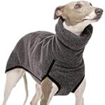 Whippet abandonné : Les meilleurs produits pour prendre soin de votre fidèle compagnon