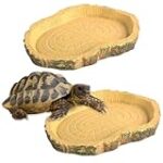 Guide d'achat : Comparaison des meilleurs enclos pour tortue à fabriquer soi-même