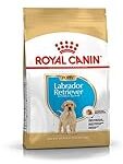 Comparatif des Meilleurs Produits pour Chiot Labrador: Guide d'Achat