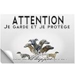 Éleveur de Whippet en France : Comparaison des meilleurs produits pour votre compagnon à quatre pattes