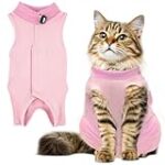 Quelle est la fréquence des selles d'un chaton par jour ? Analyse et comparaison des meilleurs produits pour animaux de compagnie