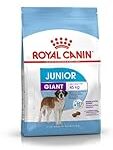 Analyse des meilleures croquettes Royal Canin Giant pour chiens de grande taille