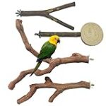 Meilleur arbre à peruche pour animaux de compagnie : Analyse et comparaison des produits les plus adaptés