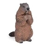 Magasin Animaux Chambly : Comparaison des Meilleurs Produits pour Animaux de Compagnie en 2021