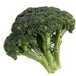 Comparatif des croquettes pour animaux de compagnie : l'impact du poids des brocolis sur leur santé Comparatif des croquettes pour animaux de compagnie : l'impact du poids des brocolis sur leur santé