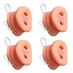 Les 5 meilleurs produits pour chouchouter votre hérisson au nez de cochon en photos