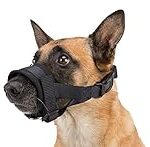 Staff XXL pour chiens : Analyse et comparaison des meilleurs produits pour animaux de compagnie