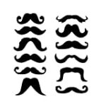 Meilleurs produits pour animaux de compagnie : Tout ce qu'il faut savoir sur les spécificités des animaux à moustache courte