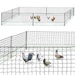 Comparatif des meilleurs filets de parc pour poules : guide d'achat pour les propriétaires d'animaux de compagnie