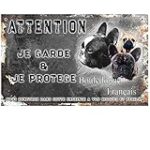 Les 5 meilleurs produits pour les chiens ressemblant au bouledogue: comparatif complet Les 5 meilleurs produits pour les chiens ressemblant au bouledogue: comparatif complet