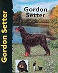 Élevage de Setter Gordon : Comparaison des meilleurs produits pour cette race de chien