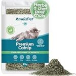 Comportement maternel chez la chatte : Impact sur le choix des meilleurs produits pour animaux de compagnie