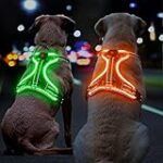 Comparaison des meilleurs harnais lumineux pour chien rechargeable : Guide d'achat pour les propriétaires d'animaux de compagnie