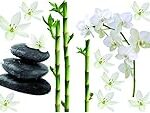Comparatif des meilleures toilettes zen en bambou pour animaux de compagnie