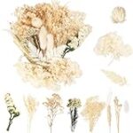 Les meilleurs accessoires de décoration florale pour animaux de compagnie : analyse et comparaison des produits incontournables