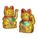 Les meilleurs produits pour les chats de la race orientale : Guide d'analyse et de comparaison Les meilleurs produits pour les chats de la race orientale : Guide d'analyse et de comparaison