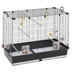 Comparatif des meilleures cages à oiseaux Ferplast pour vos compagnons à plumes