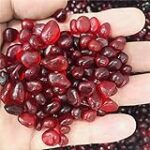 Guide d'achat des meilleurs produits pour animaux de compagnie à Animalerie Arras : Comparaison et conseils pratiques Guide d'achat des meilleurs produits pour animaux de compagnie à Animalerie Arras : Comparaison et conseils pratiques