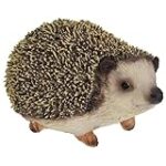 Les meilleures solutions pour gérer les crottes de hérisson dans votre jardin : analyse et comparaison des produits pour animaux de compagnie