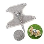 Comparatif des meilleures laisses pour lapin : trouvez le modèle idéal pour votre compagnon !