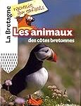 Les meilleurs produits pour animaux de compagnie bretons : analyse et comparaison