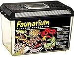 Différence entre vivarium et terrarium : quelle option choisir pour votre animal de compagnie ?