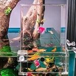 Les meilleurs aquariums avec trou pour chat : analyse et comparaison des produits pour animaux de compagnie