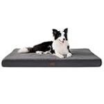 Comparatif des meilleurs coussins déhoussables en solde pour chien : le choix idéal pour le confort de votre compagnon à quatre pattes !