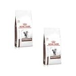 Les Meilleures Croquettes Gastro-Intestinal Royal Canin : Analyse et Comparaison des Produits pour Animaux de Compagnie