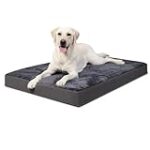 Comparatif des meilleurs lits pour chien XL : Trouvez le confort parfait pour votre grand compagnon ! Comparatif des meilleurs lits pour chien XL : Trouvez le confort parfait pour votre grand compagnon !