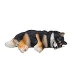 Les Meilleurs Produits pour Animaux de Compagnie pour votre Miniature Shiba Inu: Guide d'Analyse et de Comparaison