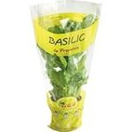 Les meilleurs produits pour le basilic lapin : analyse et comparaison