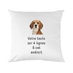 Les meilleurs produits pour animaux de compagnie pour votre beagle bicolore : analyse et comparaison
