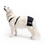 Coût de l'opération pour la dysplasie de la hanche chez le chien : Analyse et comparaison des meilleurs produits pour animaux de compagnie