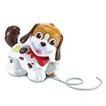 Guide des meilleurs produits pour animaux de compagnie : Comment prendre soin d'un chien de 2 ans ?