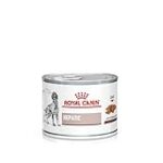 Les Meilleurs Produits pour Chiens souffrant de Problèmes Hépatiques: Analyse et Comparaison Les Meilleurs Produits pour Chiens souffrant de Problèmes Hépatiques: Analyse et Comparaison
