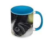 Les top produits pour les chatons noirs et blancs aux yeux bleus : comparatif et analyse