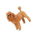 Les meilleurs produits pour votre miniature caniche : analyse et comparaison
